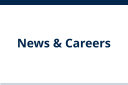 News & Careers